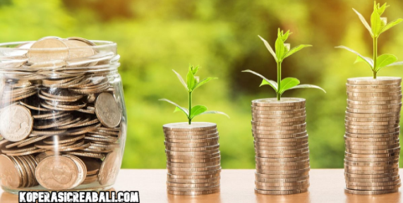 12 Tips Investasi untuk Pemula agar Aset Tumbuh Maksimal